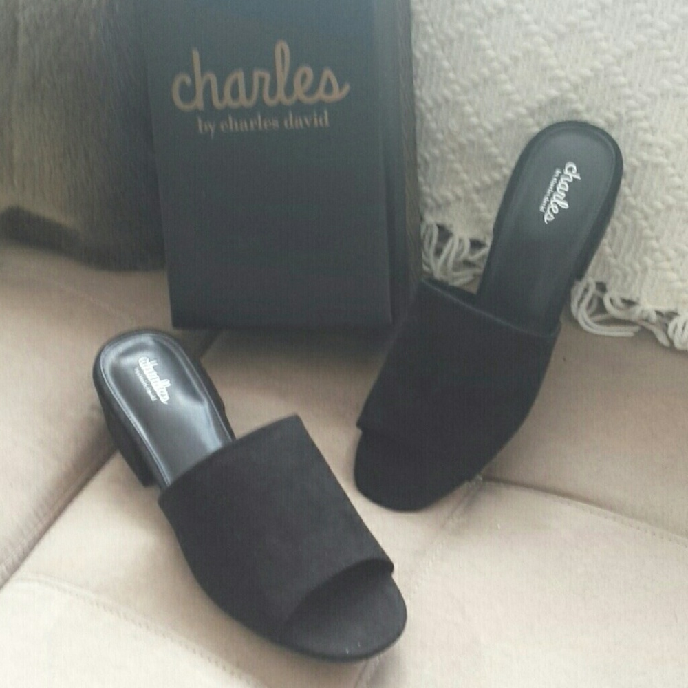 Charles David Nib - image 1